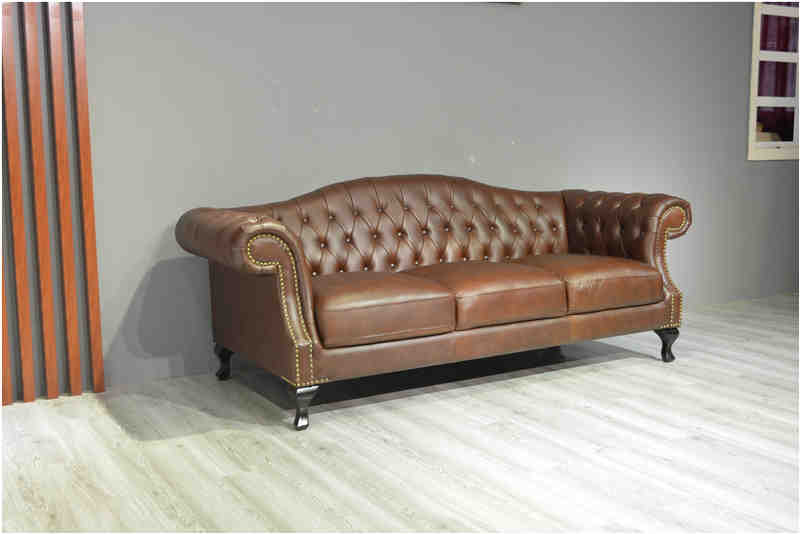 features of leather sofa 2